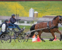 2POSIEUX 0458
